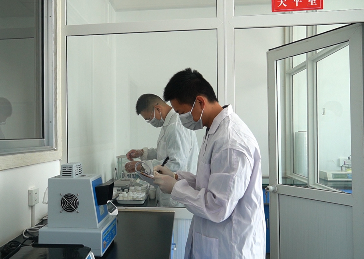 专业研发，打造强大核心